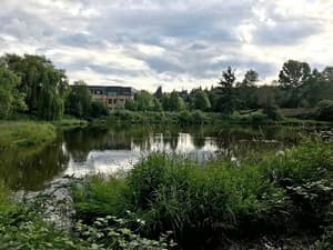 Residence Inn by Marriott Seattle Northeast-Bothell