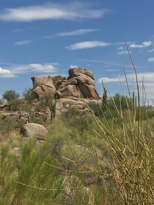 thumbnail: Desert view