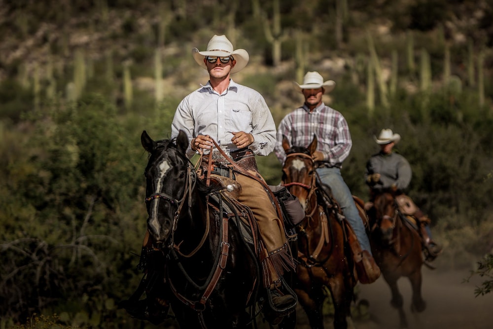 Horseback riding