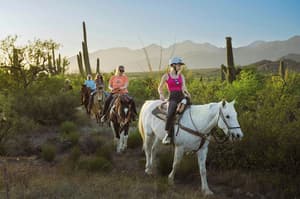 thumbnail: Horseback riding