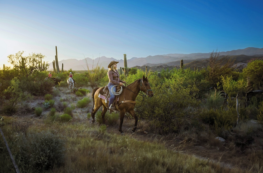 Horseback riding