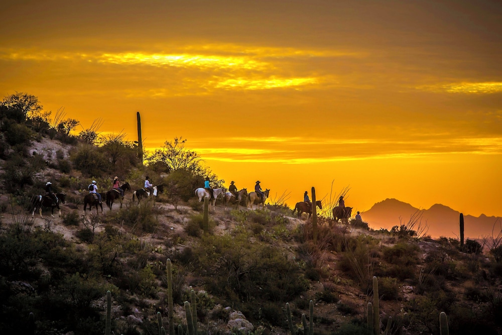 Horseback riding