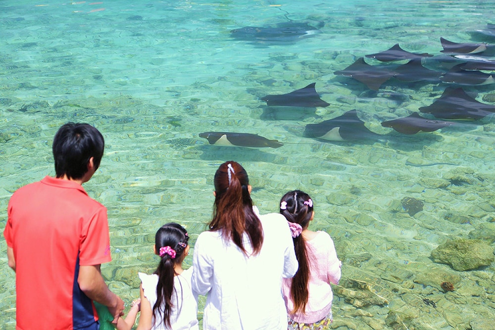 Children's activities