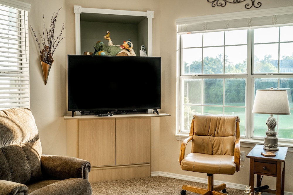 Television