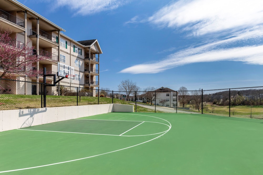 Basketball court