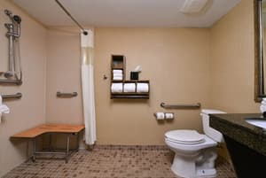 thumbnail: Bathroom shower