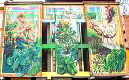Hotel Natural