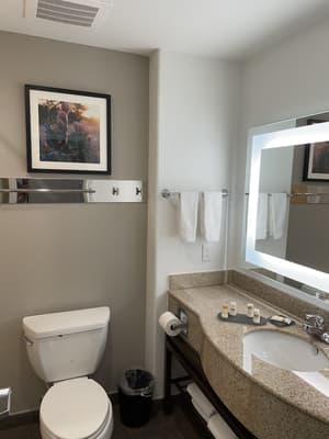 thumbnail: Property amenity