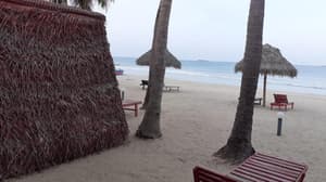 thumbnail: 12430384_20011817440087223820.jpg