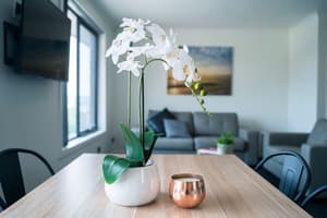 thumbnail: Living area