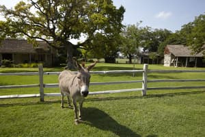 thumbnail: Property grounds