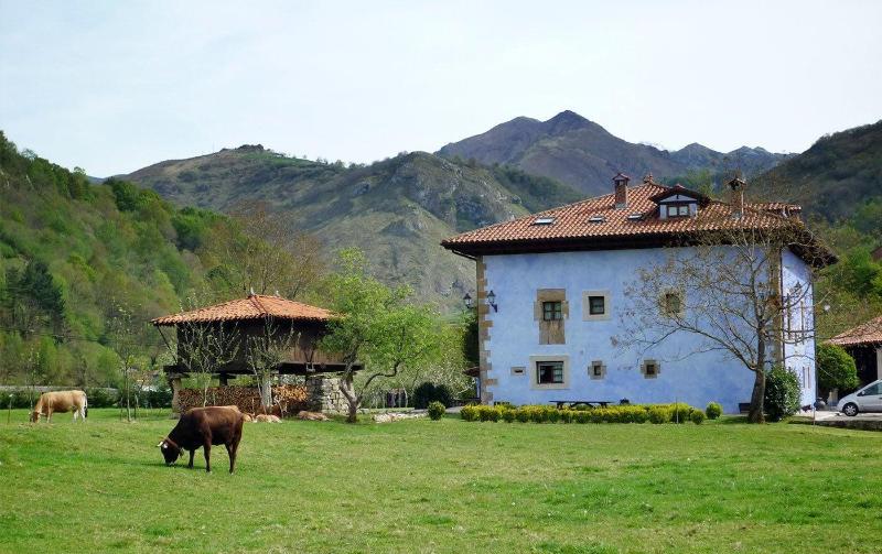 General view