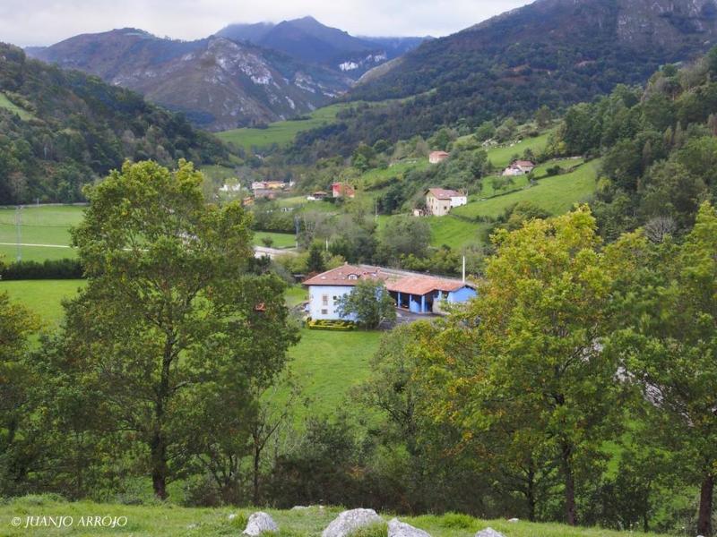 General view
