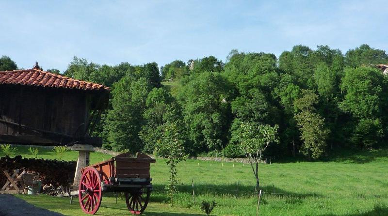 General view