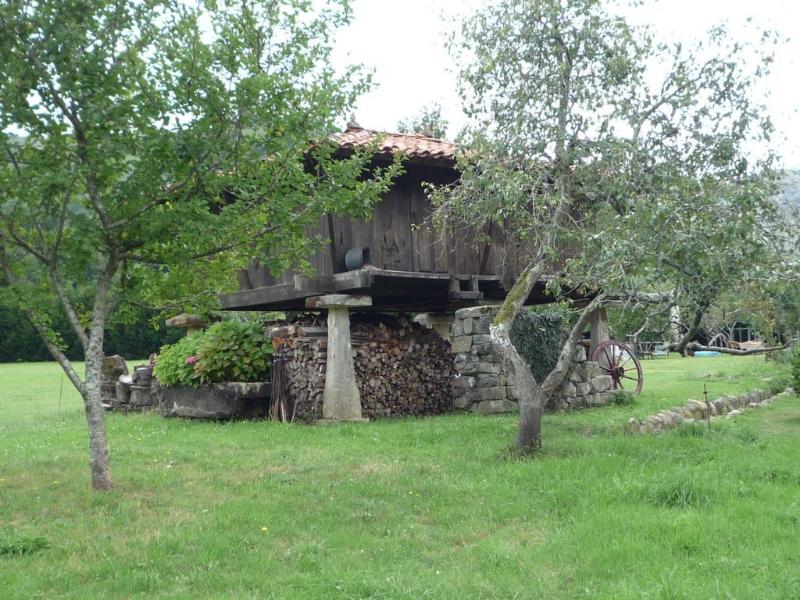 General view