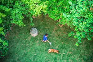 thumbnail: Garden