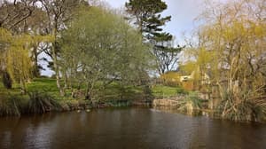 thumbnail: Lake