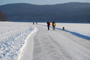 thumbnail: Ice skating