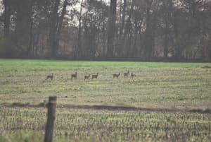 thumbnail: General view