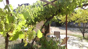 thumbnail: Terrace/patio