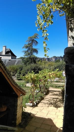 thumbnail: Terrace/patio