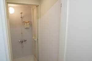 thumbnail: Bathroom shower