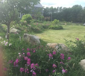 thumbnail: View from property