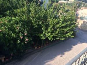 thumbnail: Exterior