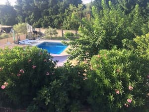 thumbnail: Outdoor pool