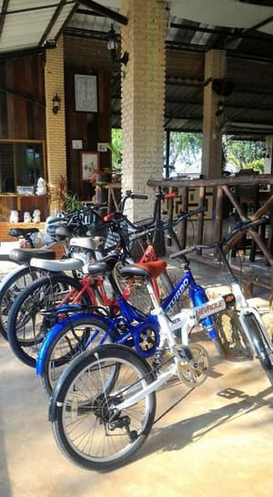 thumbnail: Bicycling