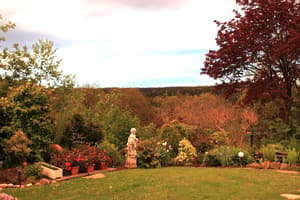 thumbnail: Garden