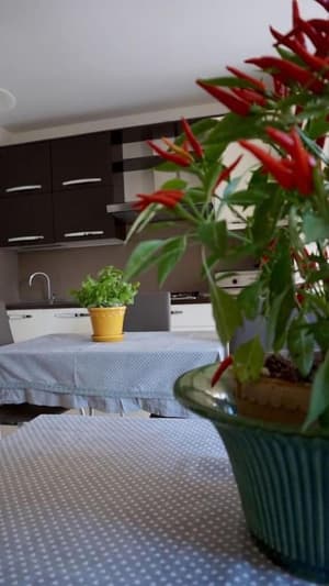 thumbnail: Private kitchen