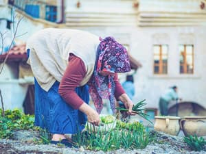 thumbnail: Garden