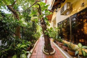 thumbnail: Garden