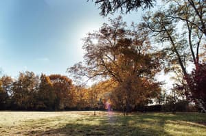 thumbnail: General view