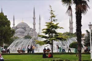 thumbnail: General view