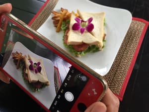 thumbnail: Food and drink