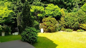 thumbnail: General view
