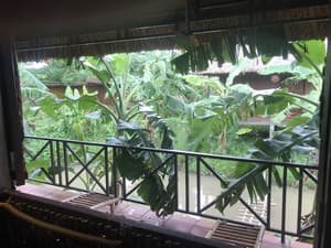 thumbnail: View from room