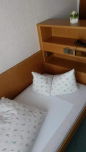 thumbnail: General view