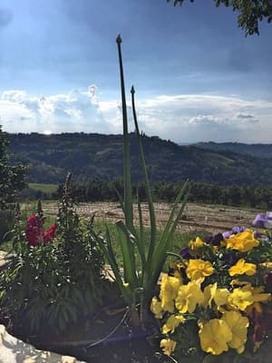 thumbnail: View from property