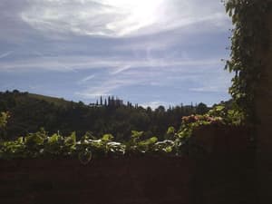 thumbnail: General view