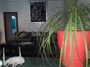 thumbnail: Living room