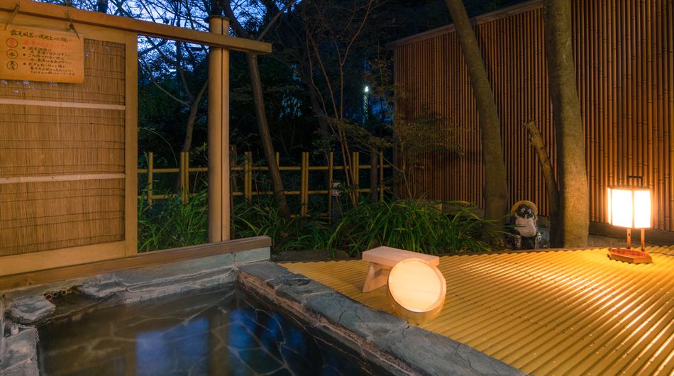 Swimming pool-spa