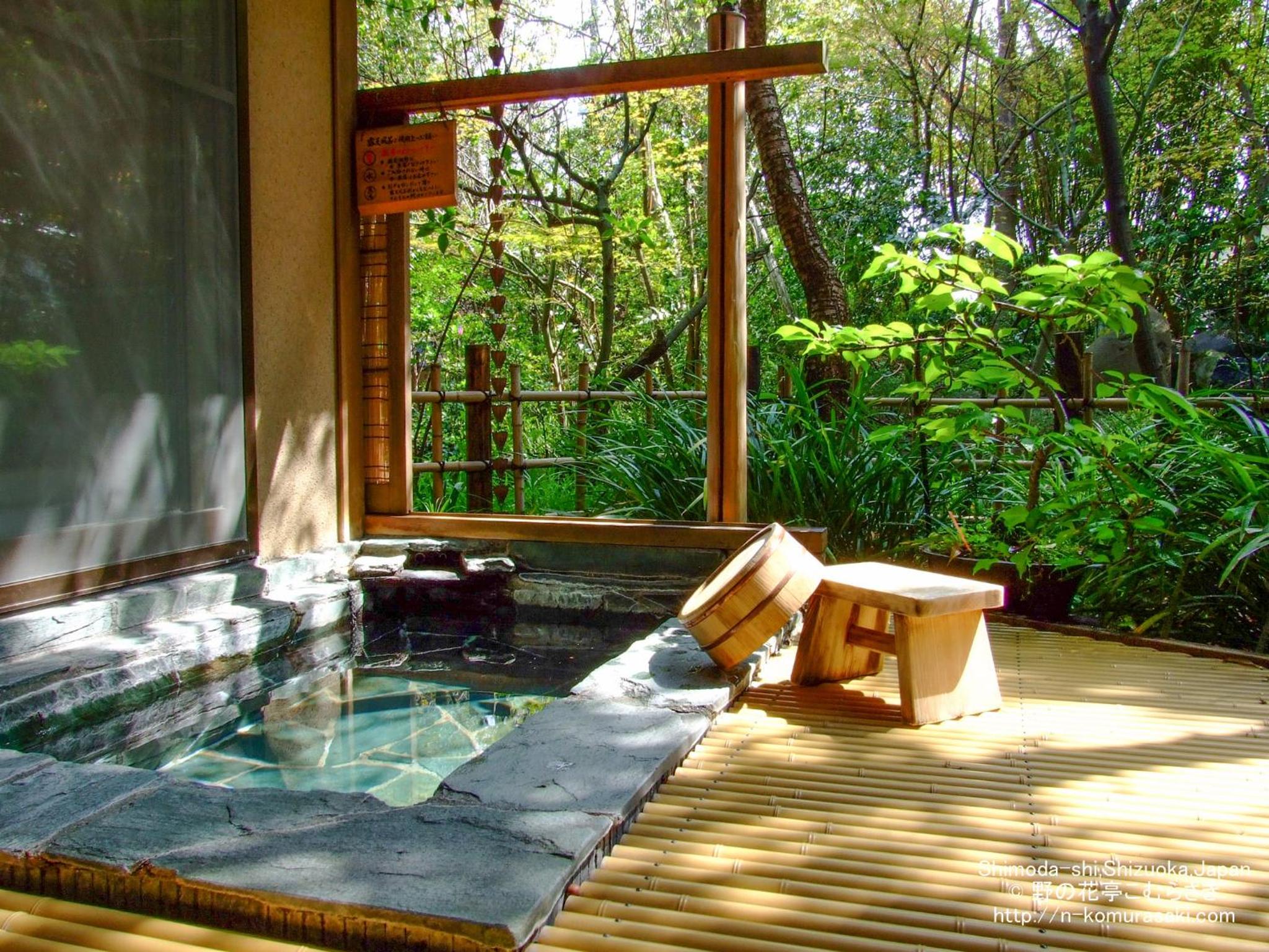 Swimming pool-spa