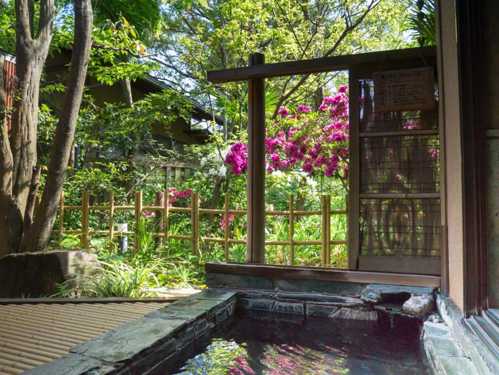 Swimming pool-spa