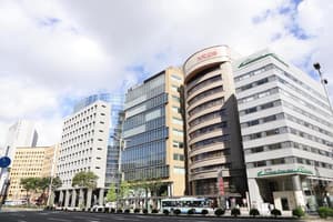 thumbnail: General view
