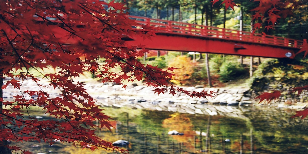 Land view from property