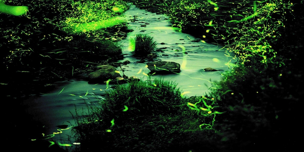 Land view from property