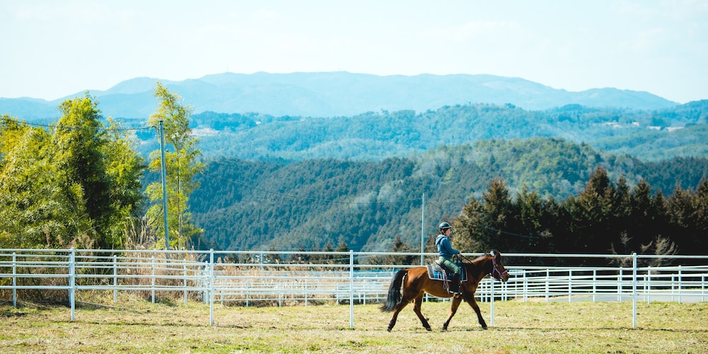 Land view from property